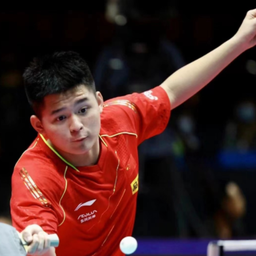 风险与案例 风险与案例